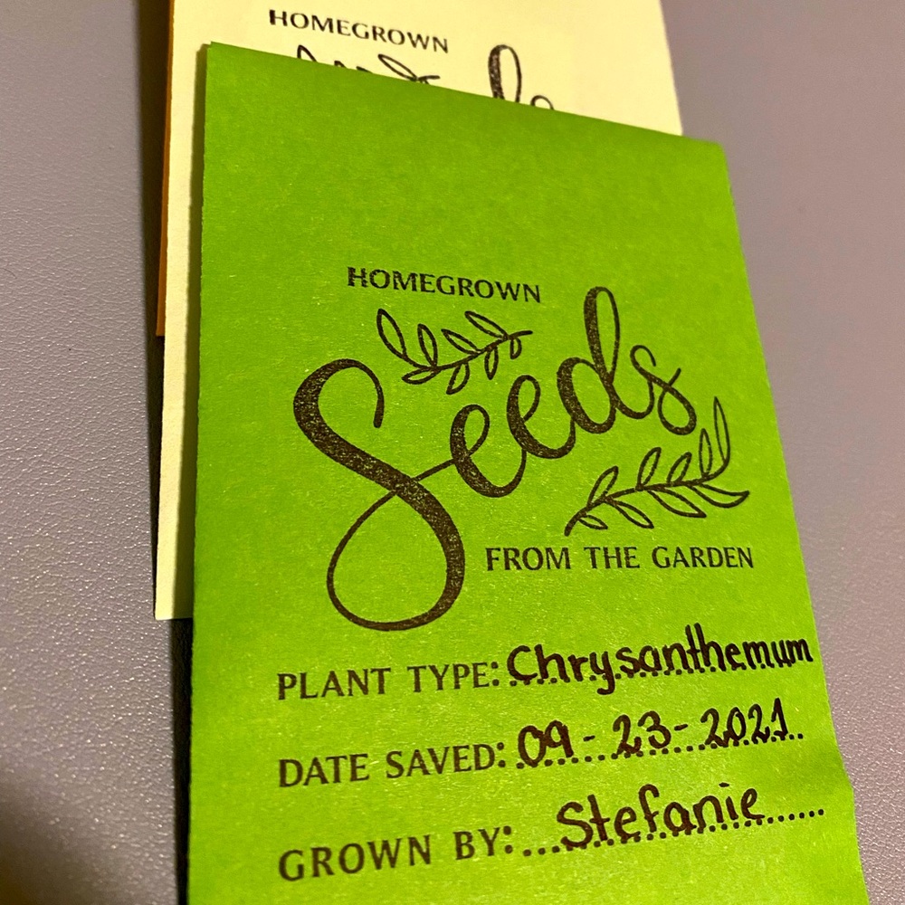 Seed Packets (Set of 4)